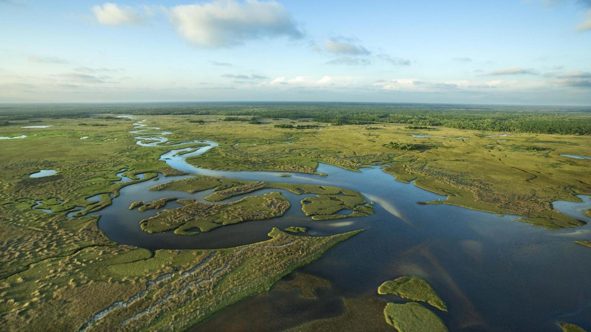 National Parks Exploration Series: The Everglades 2011 movie scene
