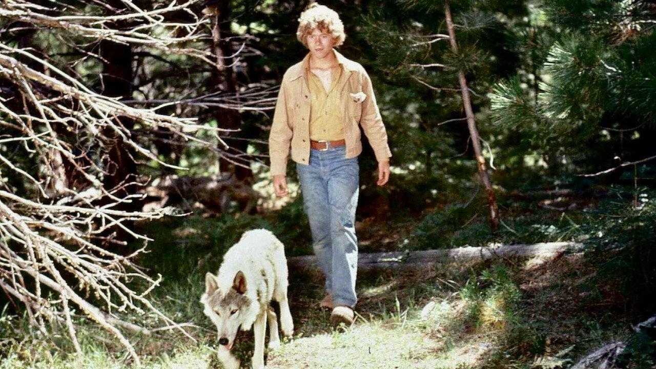 The Flight of the Grey Wolf 1976 movie scene