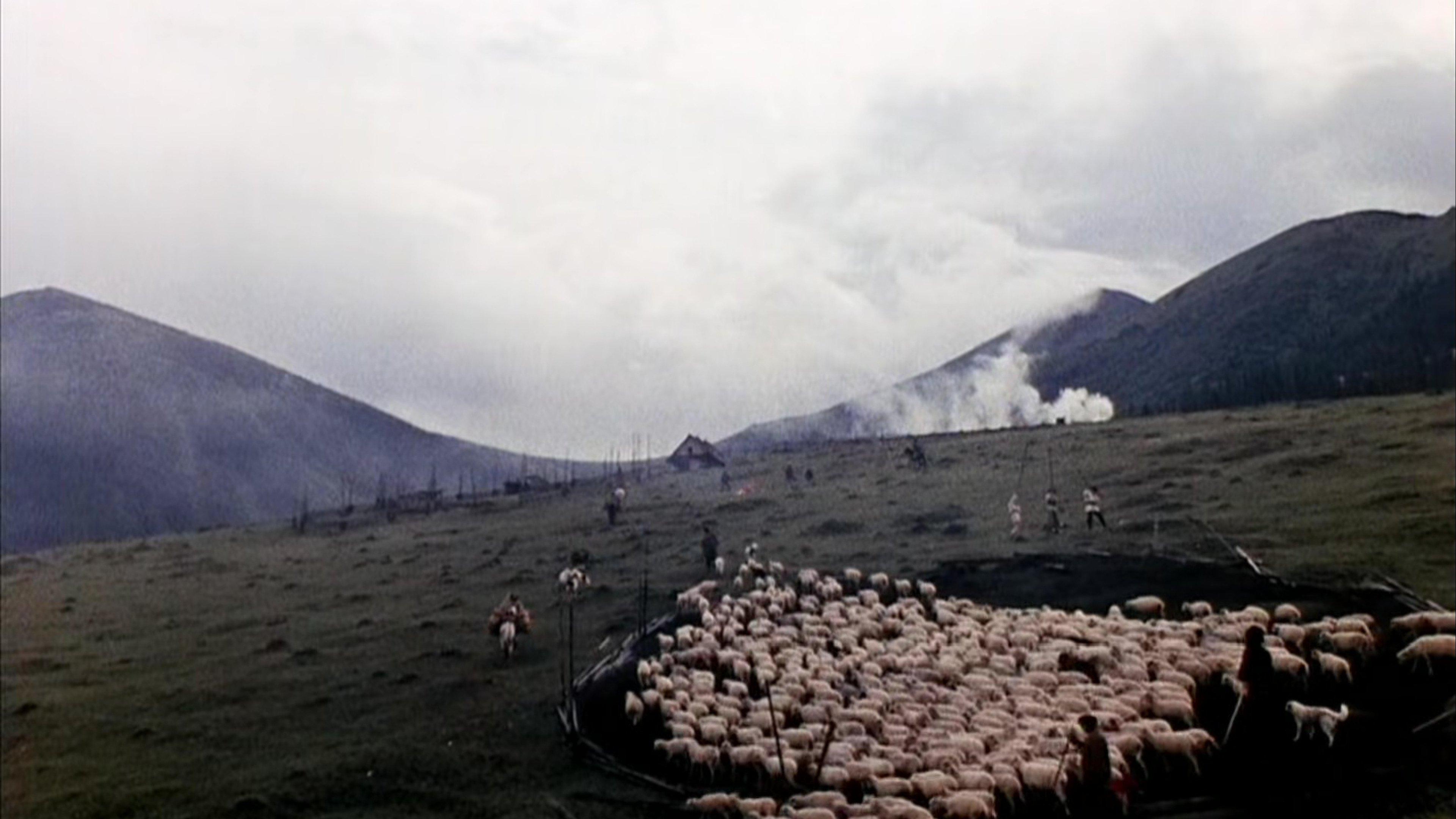 Shadows of Forgotten Ancestors 1965 movie scene