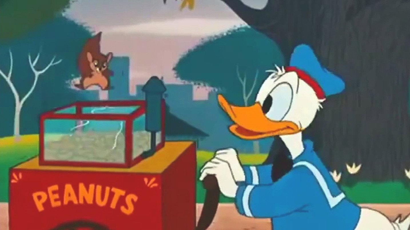 The Flying Squirrel 1954 movie scene