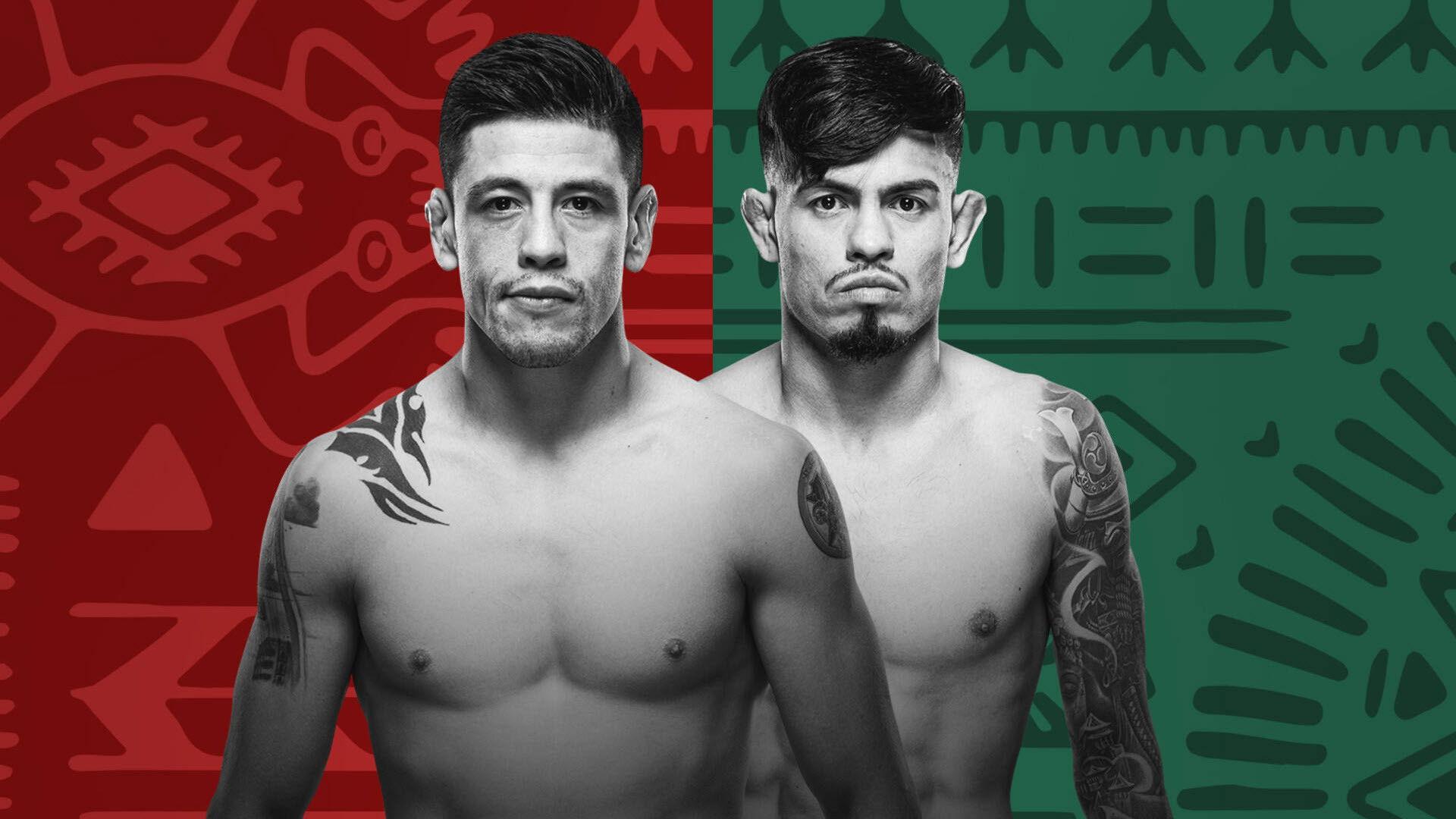 UFC Fight Night 237: Moreno vs. Royval 2 2024 movie scene
