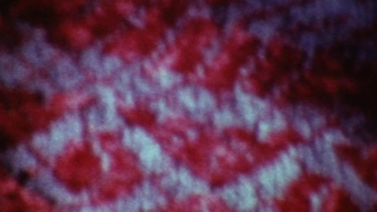Three 1974 movie scene