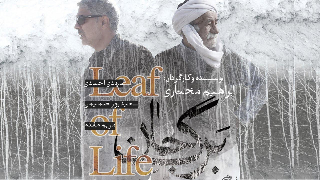 Leaf of Life 2017 movie scene