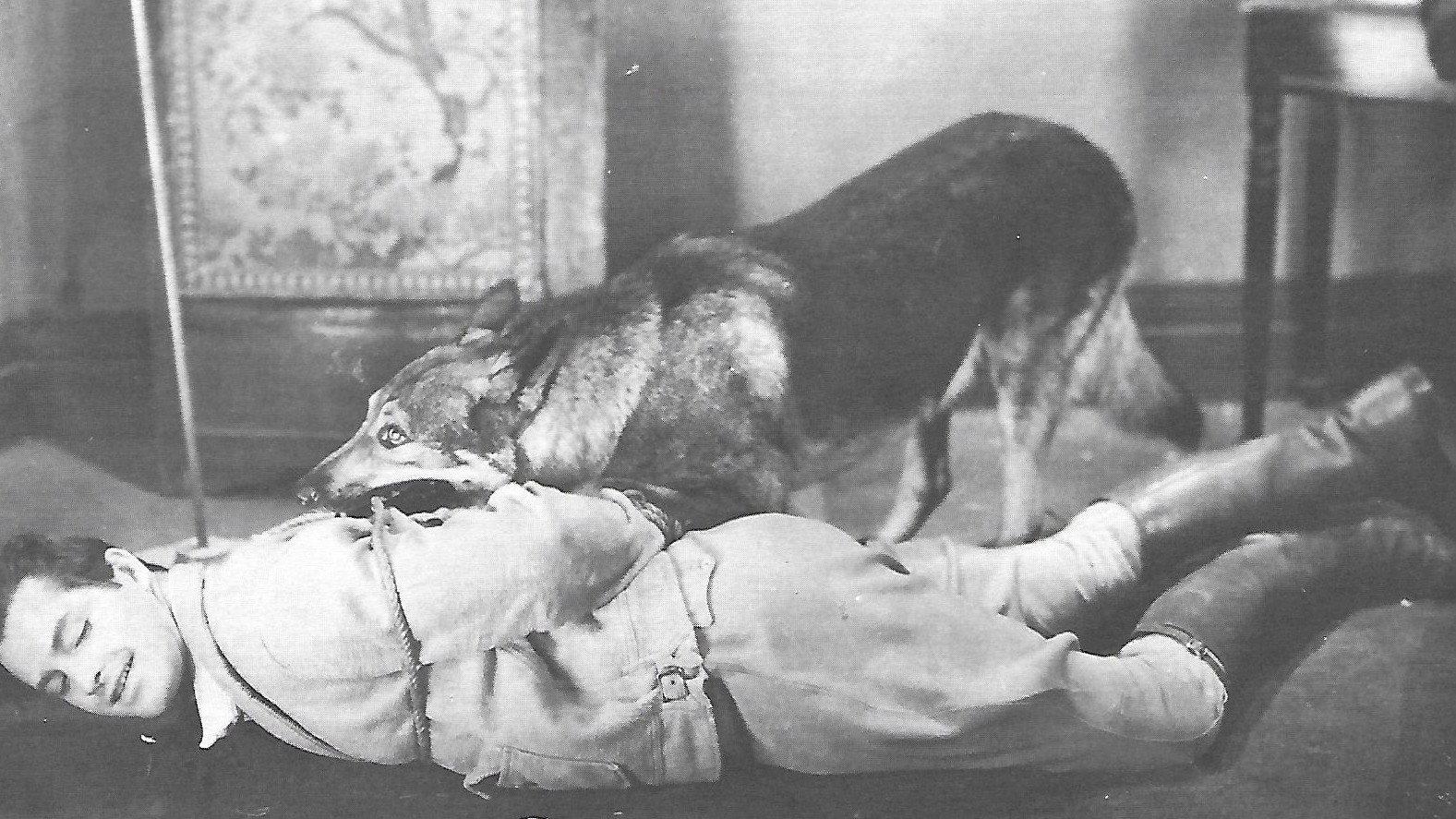 The Adventures of Rex and Rinty 1935 movie scene