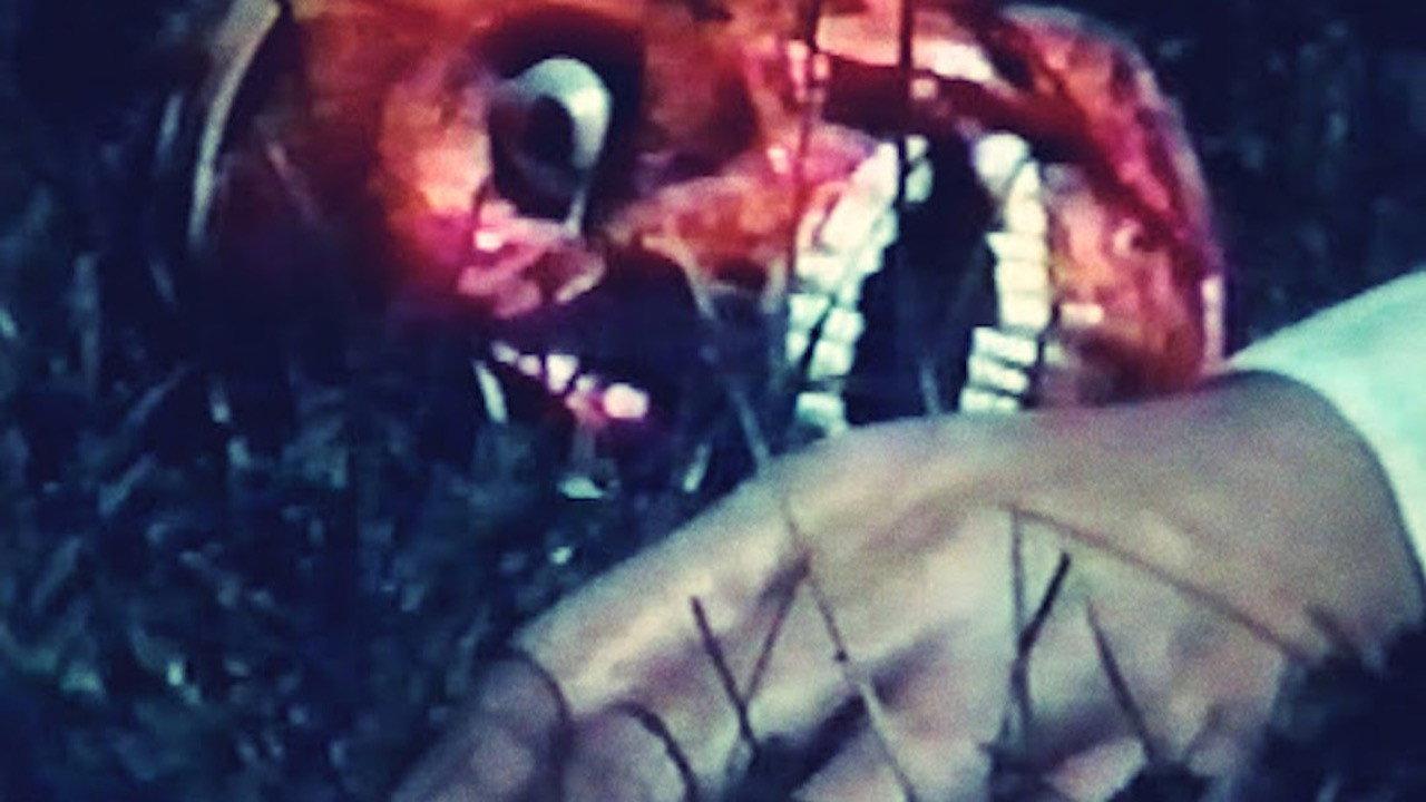 Saurians 1994 movie scene