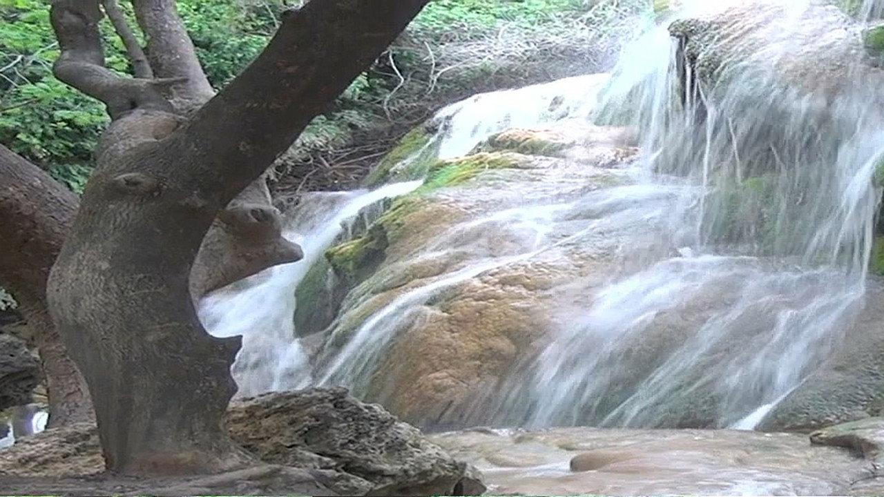 Experience Nature 3D 2013 movie scene