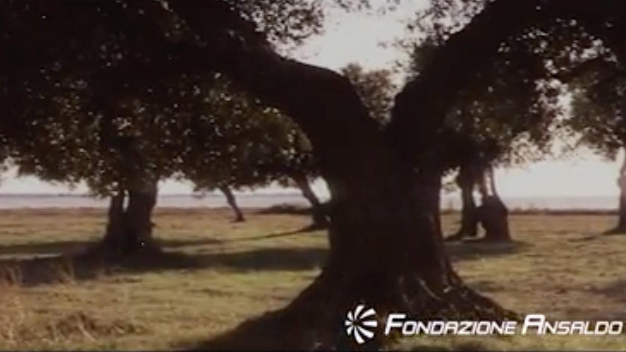 Il pianeta acciaio 1962 movie scene