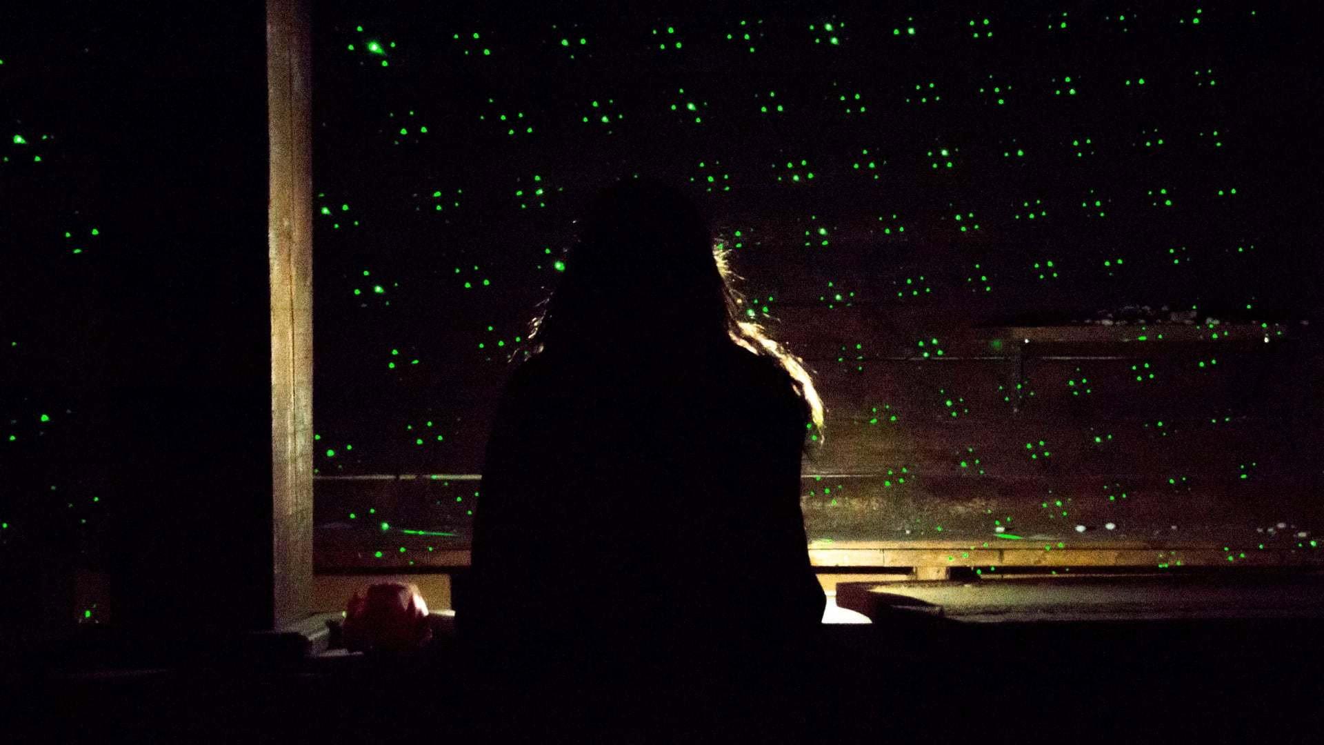 The Disco Shines 2016 movie scene