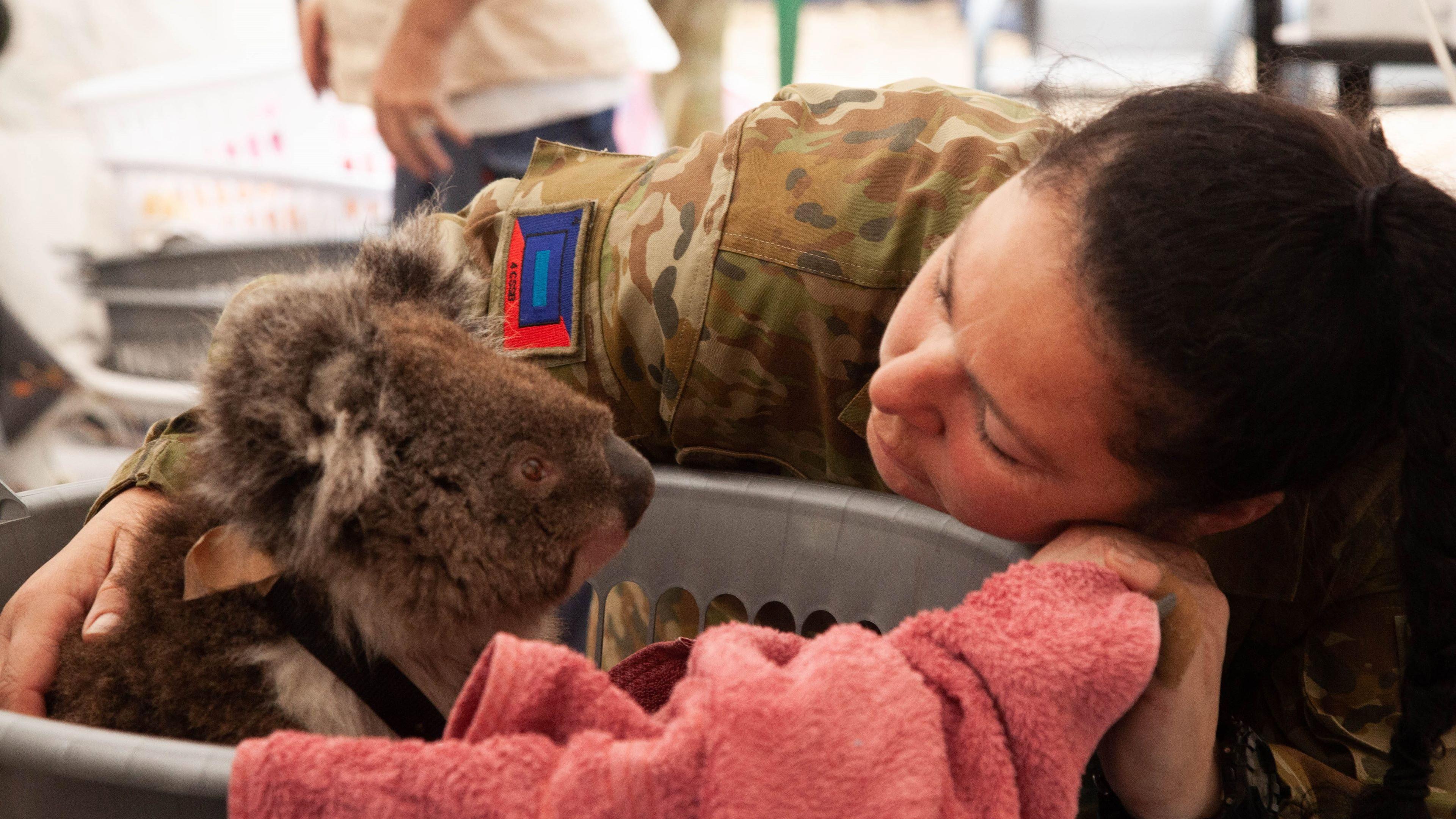 Bushfire Animal Rescue 2020 movie scene