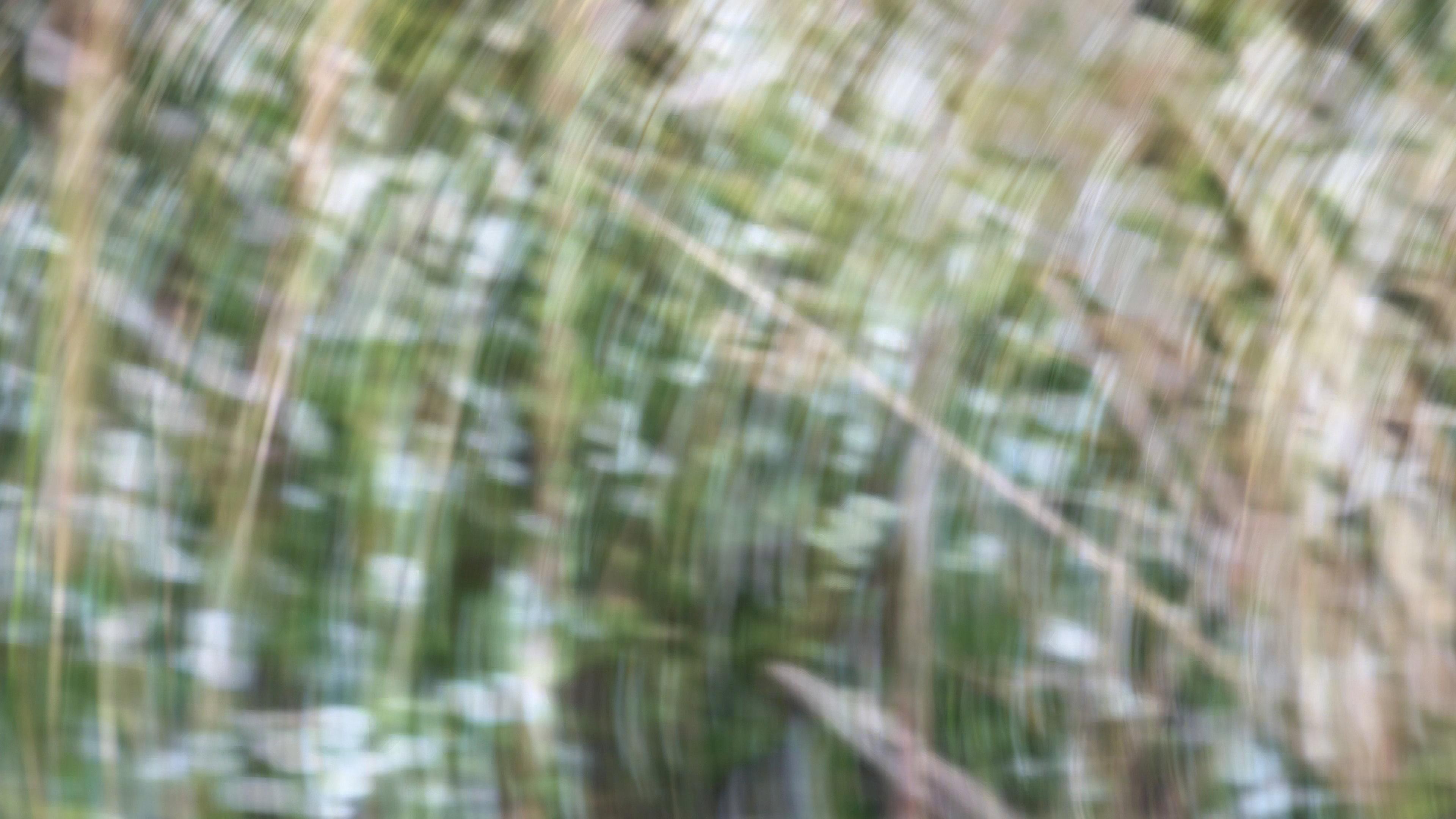Weeds and Wildflowers 2023 movie scene