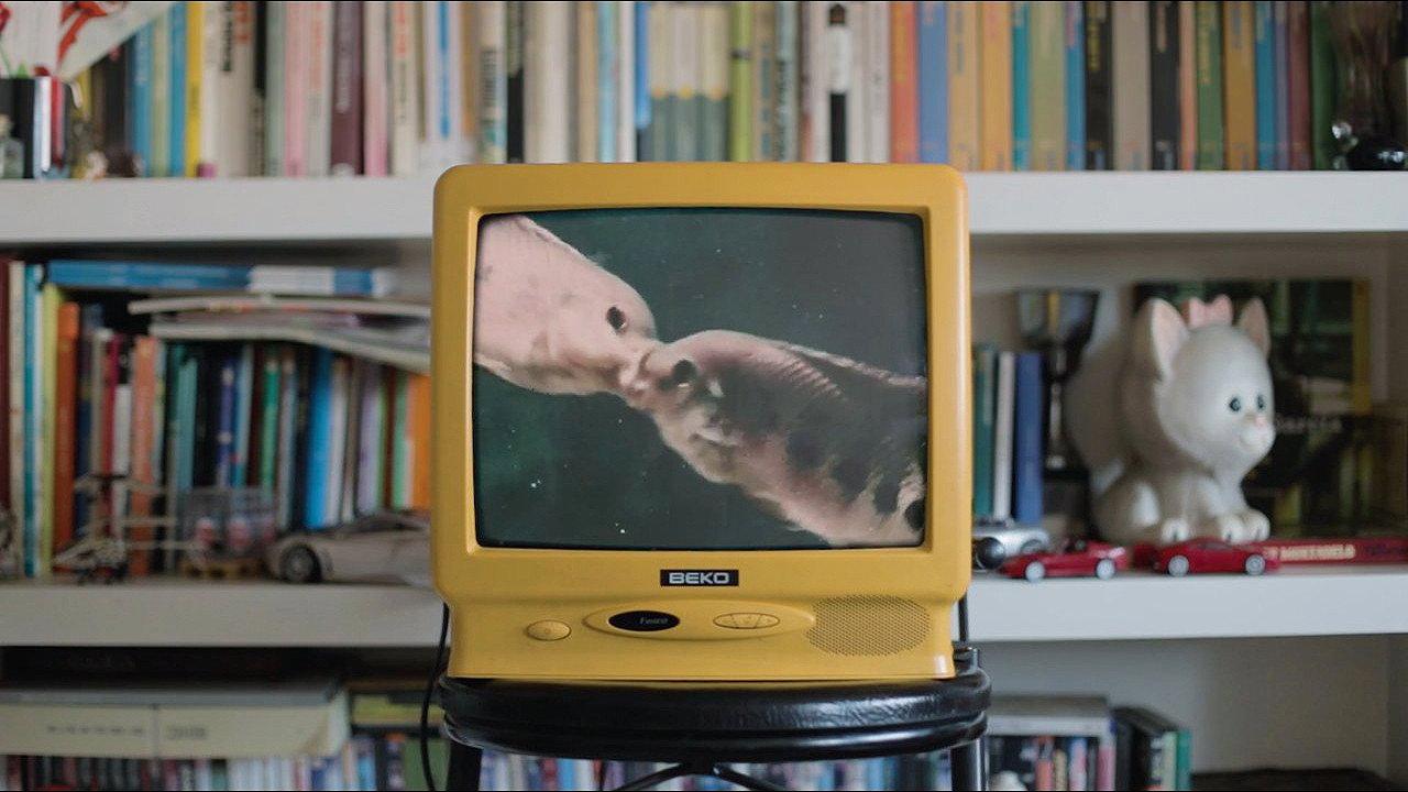 DIYSEX 2019 movie scene
