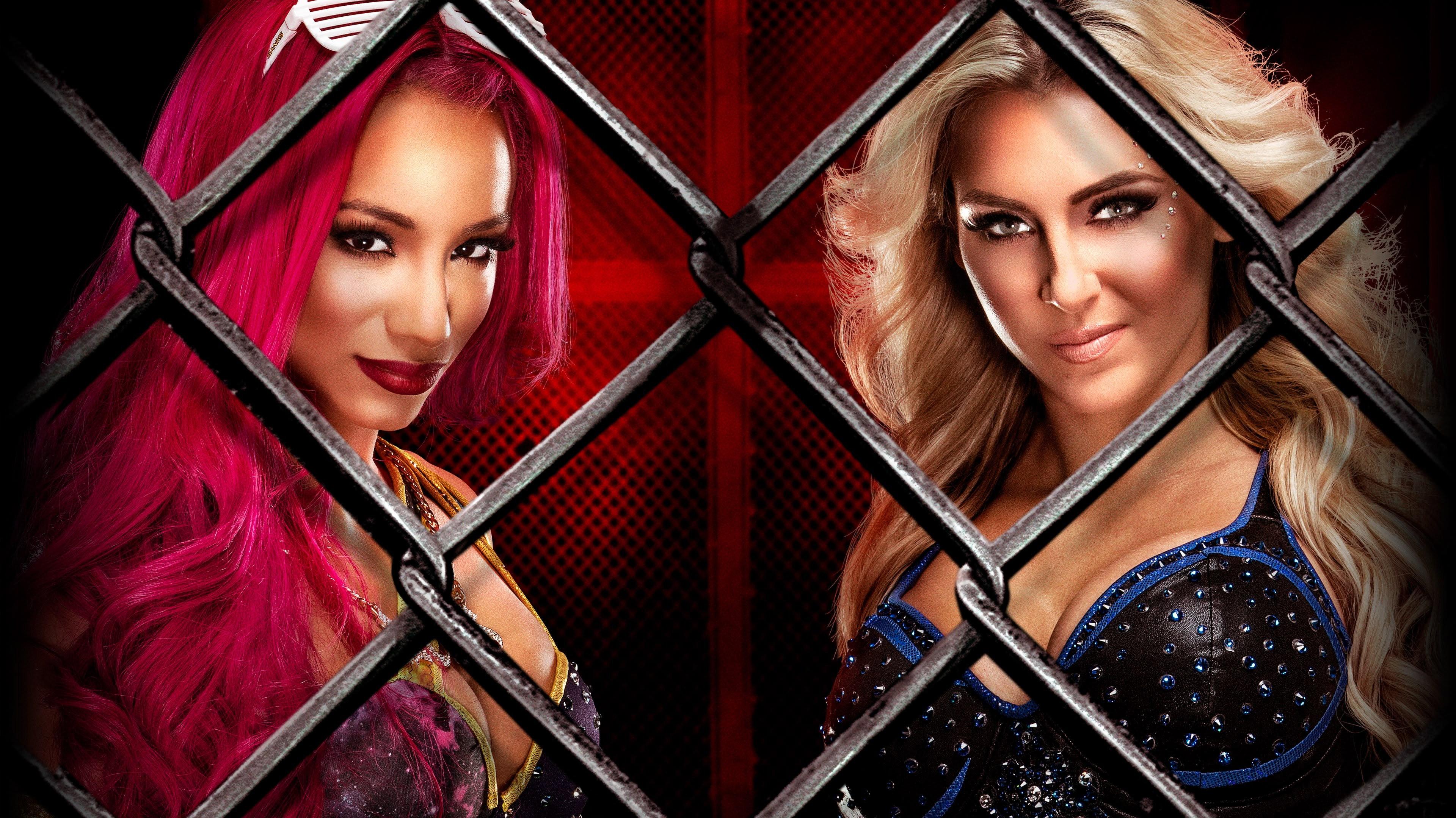 WWE Hell in a Cell 2016 2016 movie scene