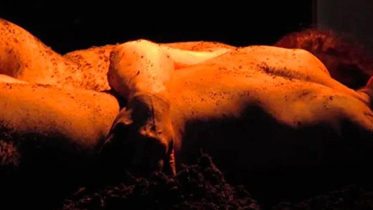 Ecosex, a User's Manual 2019 movie scene