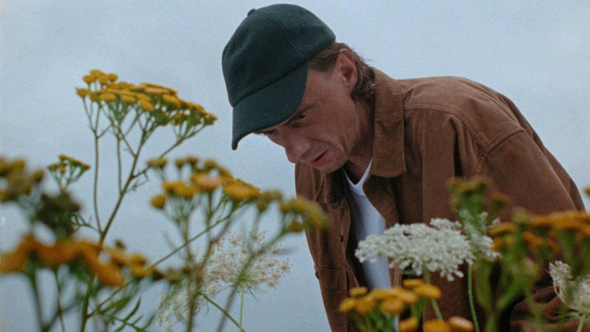A Beautiful Wildflower Meadow 2022 movie scene