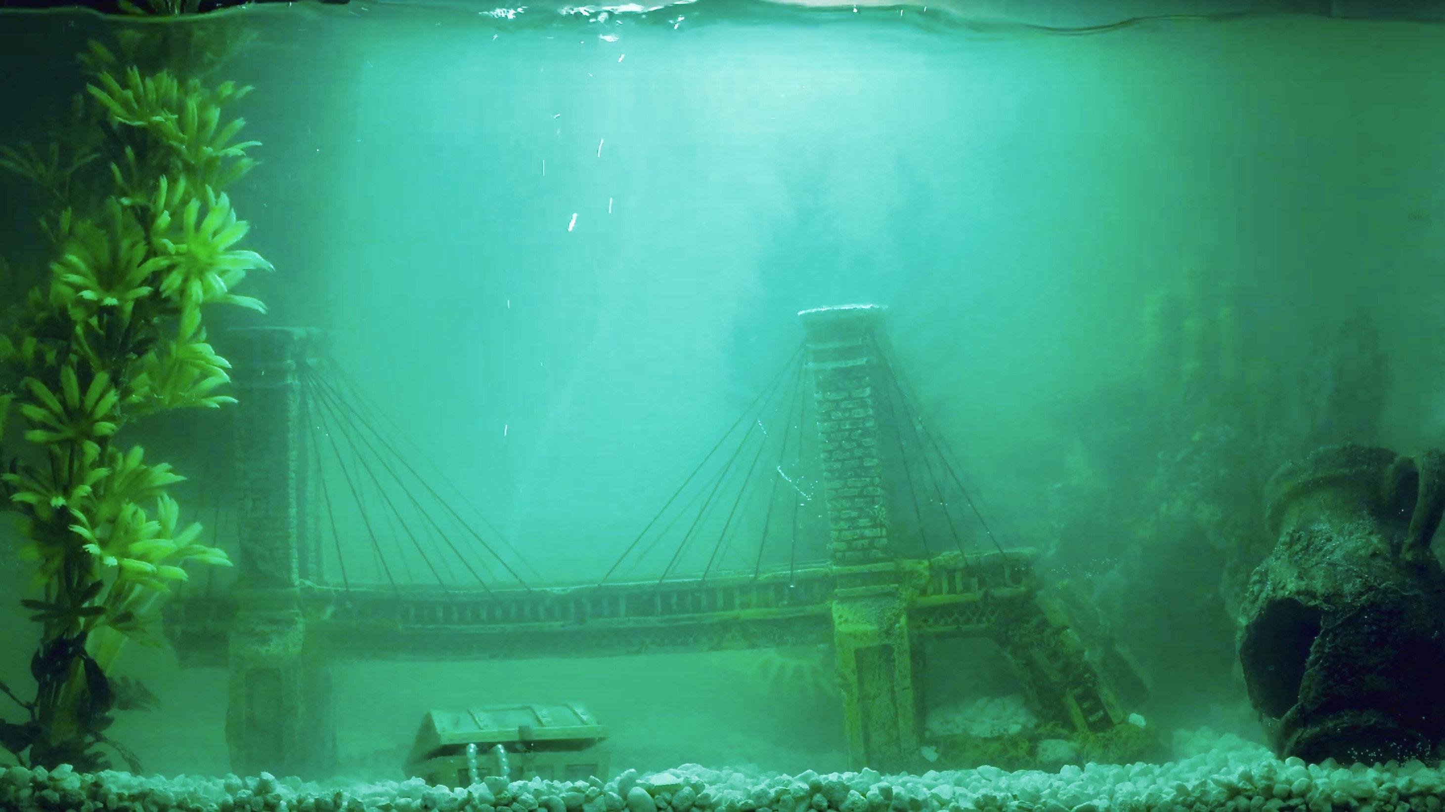 Fish 2025 movie scene