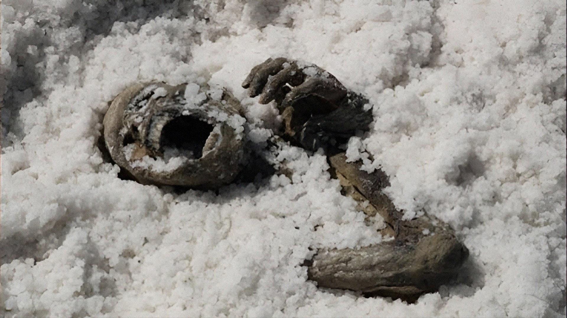 Under the Salt 2008 movie scene