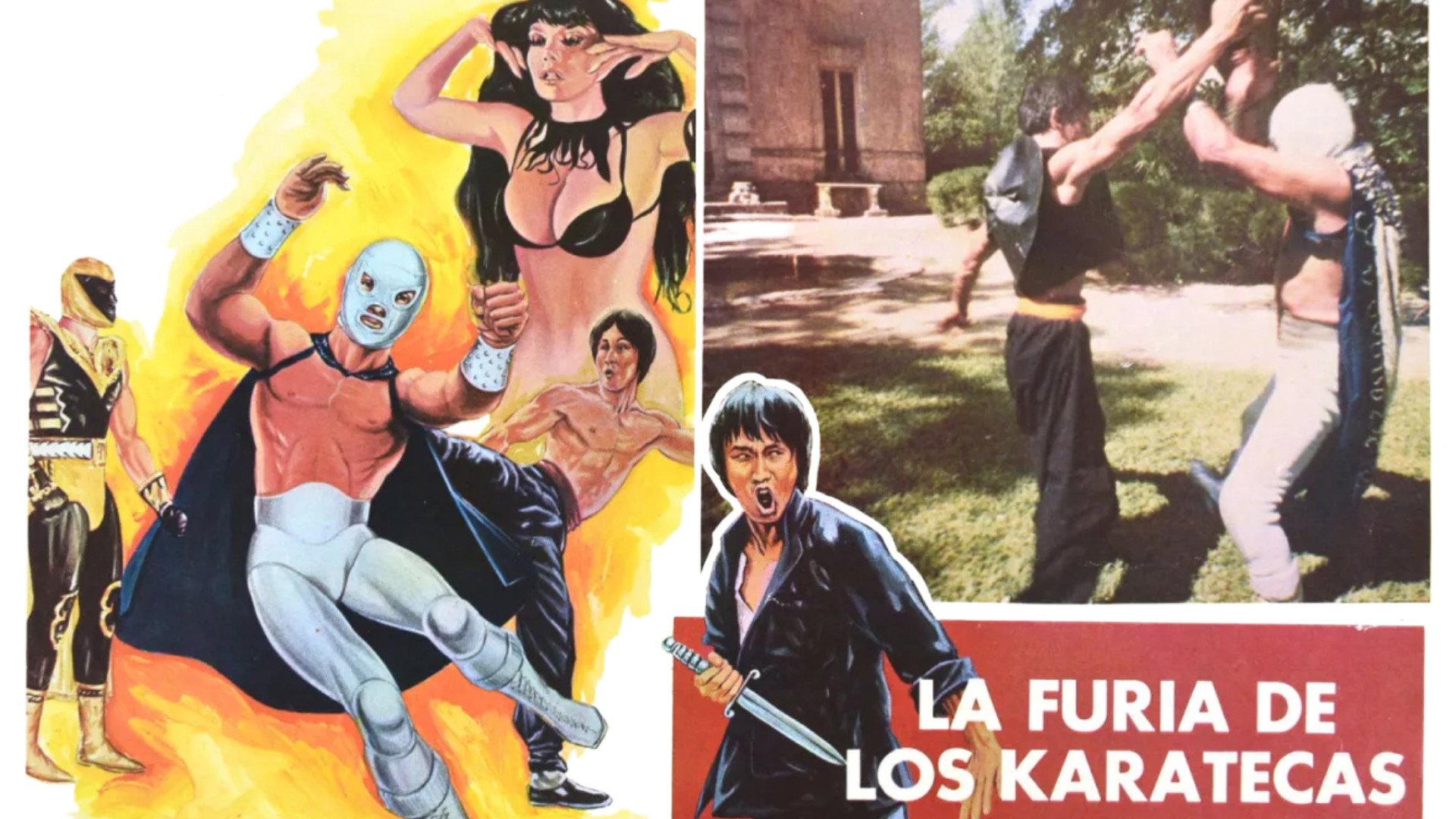 The Fury of the Karate Experts 1982 movie scene