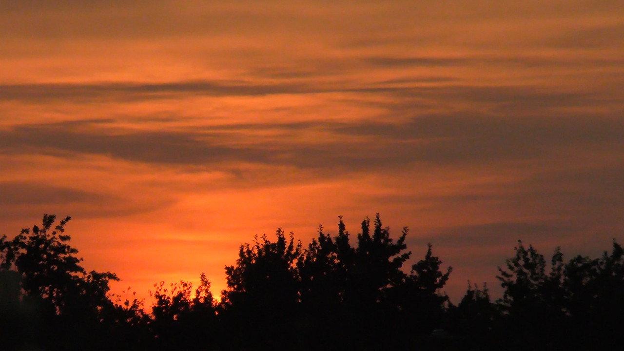How I See Sunsets 2017 movie scene