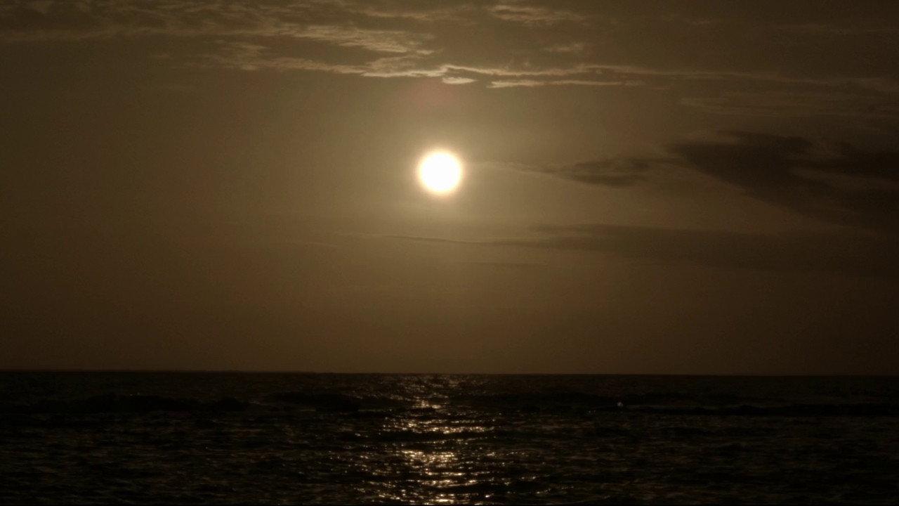 The Sea is History 2016 movie scene