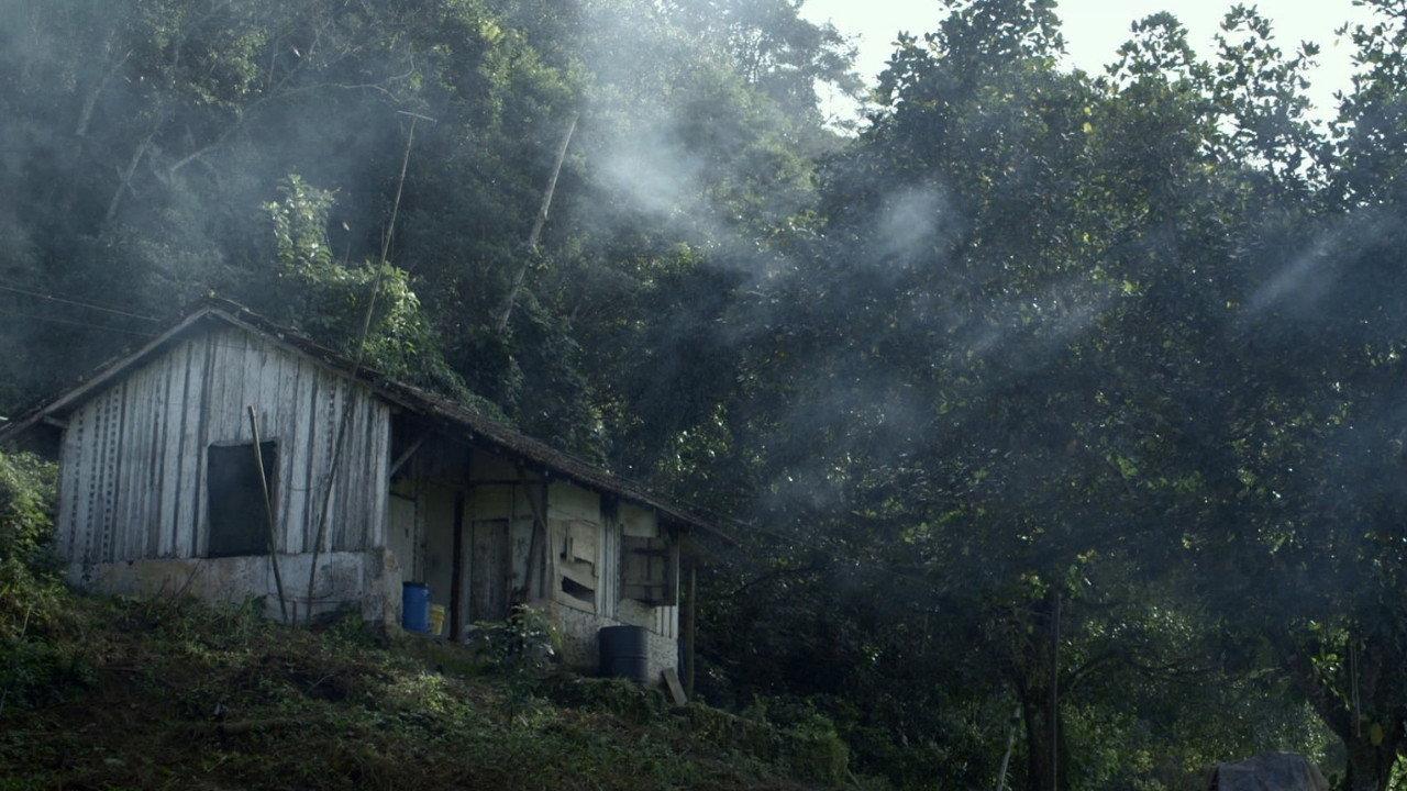 Serra do Mar 2012 movie scene