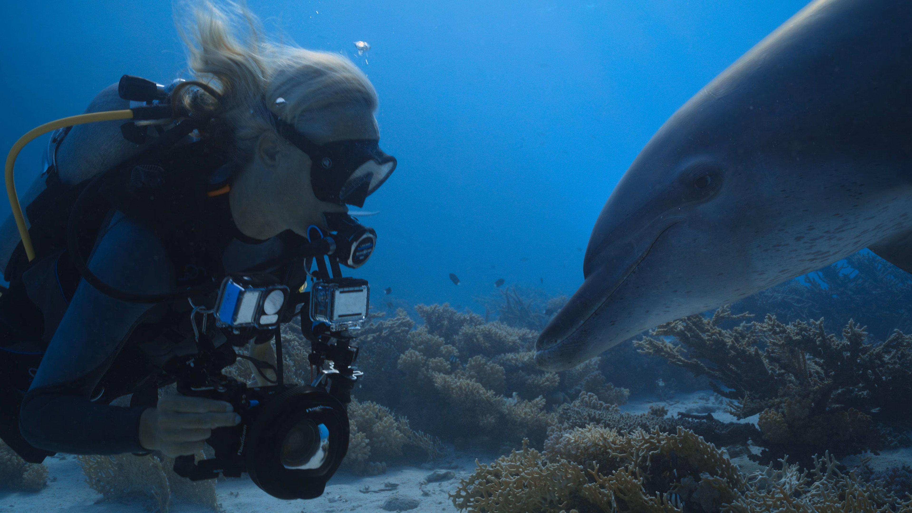Dolphins: My Close Encounters 2026 movie scene