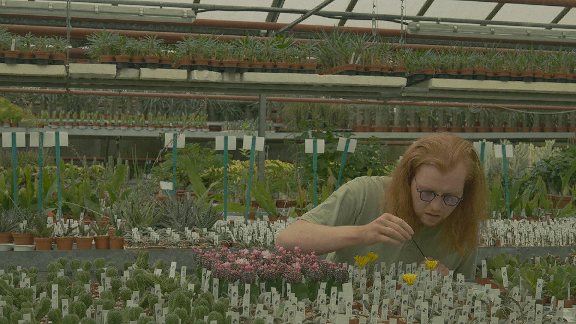 PLANTASIA 2024 movie scene