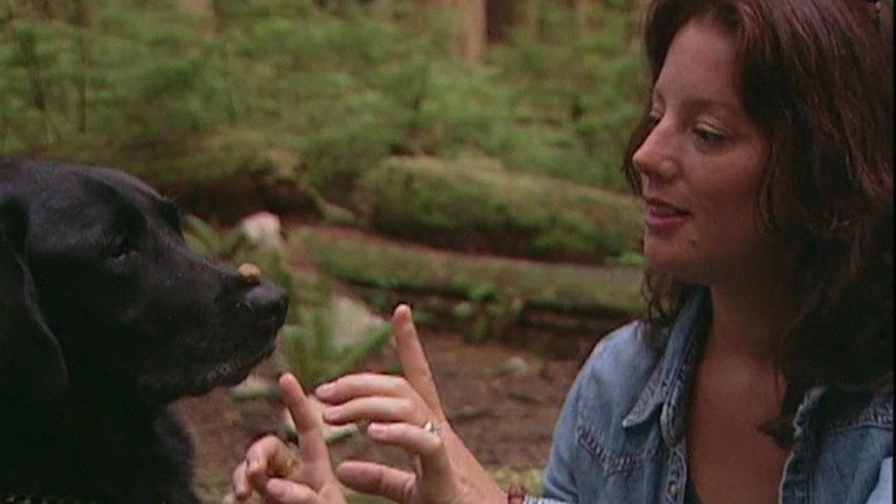 Sarah McLachlan: A Life of Music 2004 movie scene