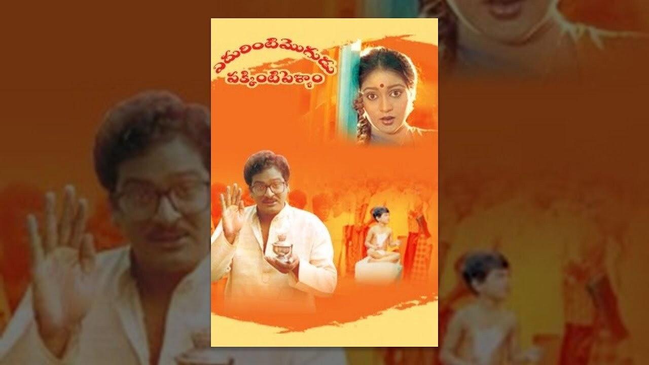 Edurinti Mogudu Pakkinti Pellam 1991 movie scene