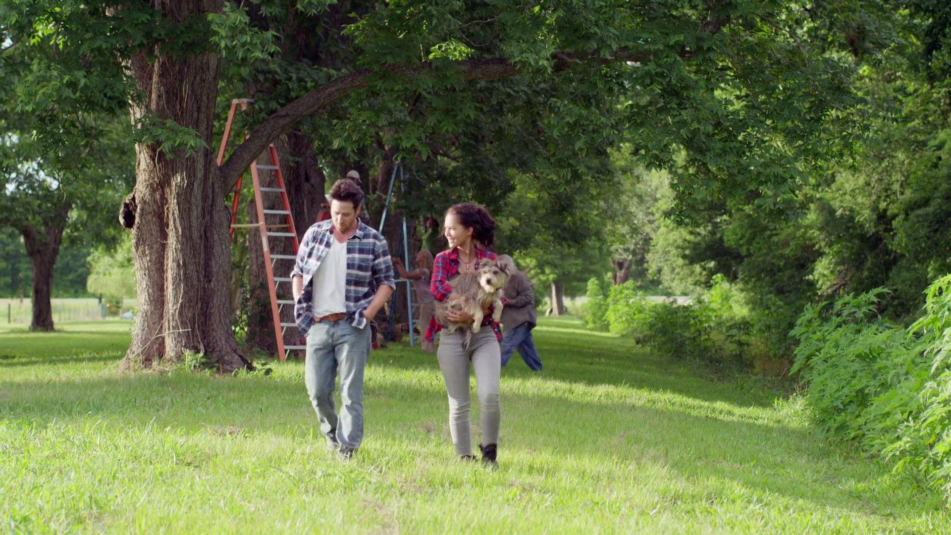 Night of the Wild 2015 movie scene