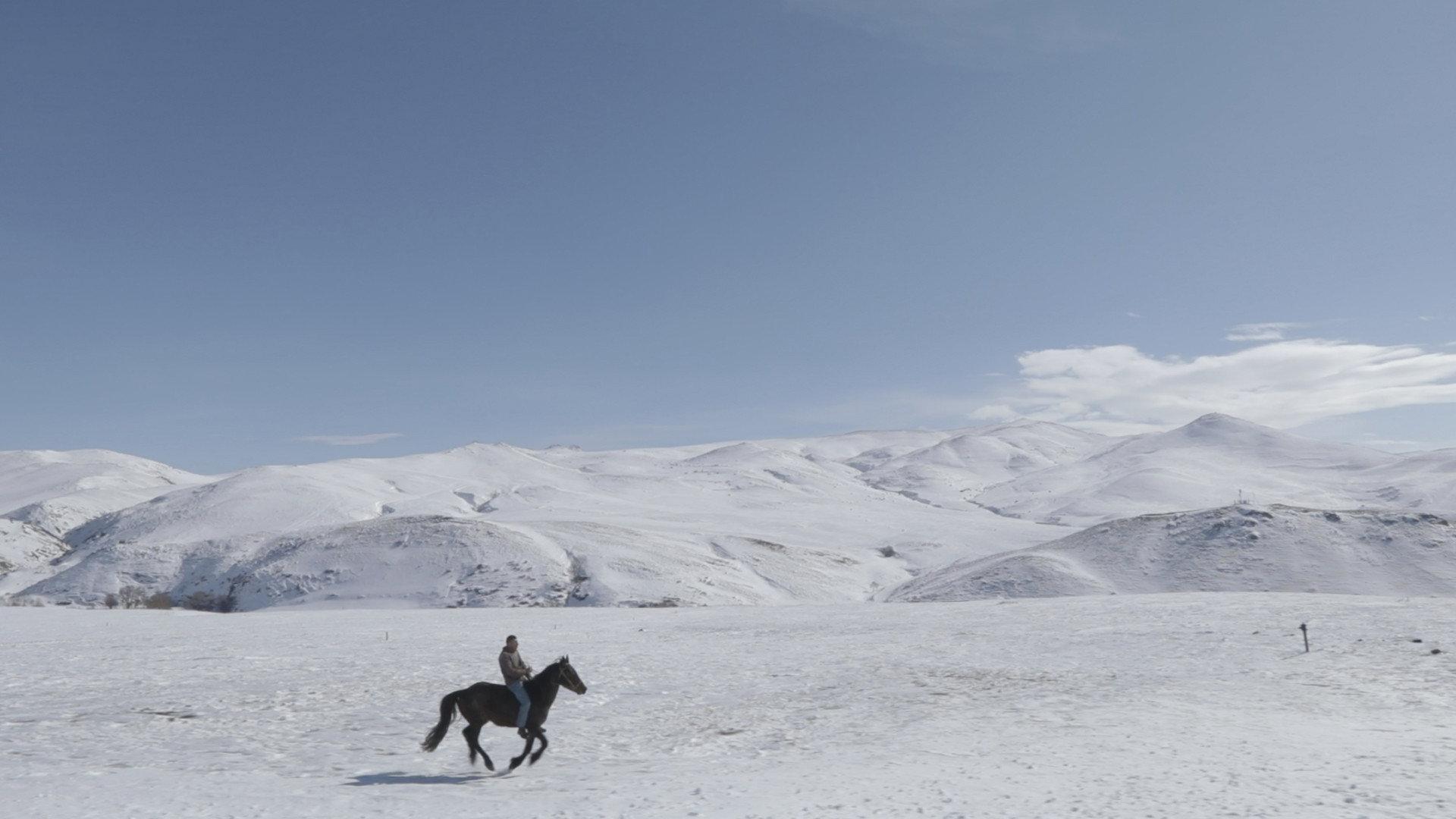5 Dreamers and a Horse 2022 movie scene