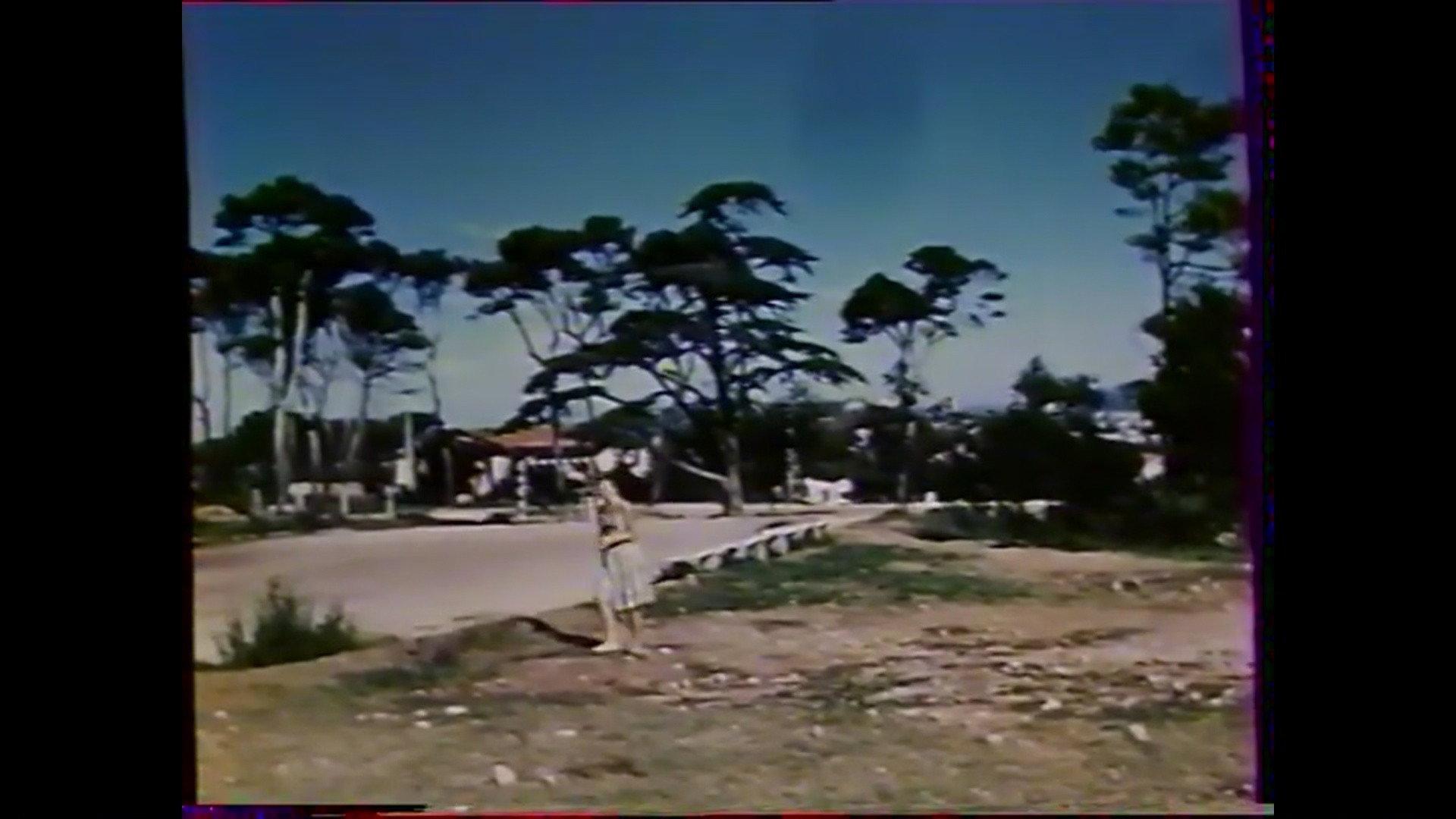 Naissance d'un sourire 1959 movie scene