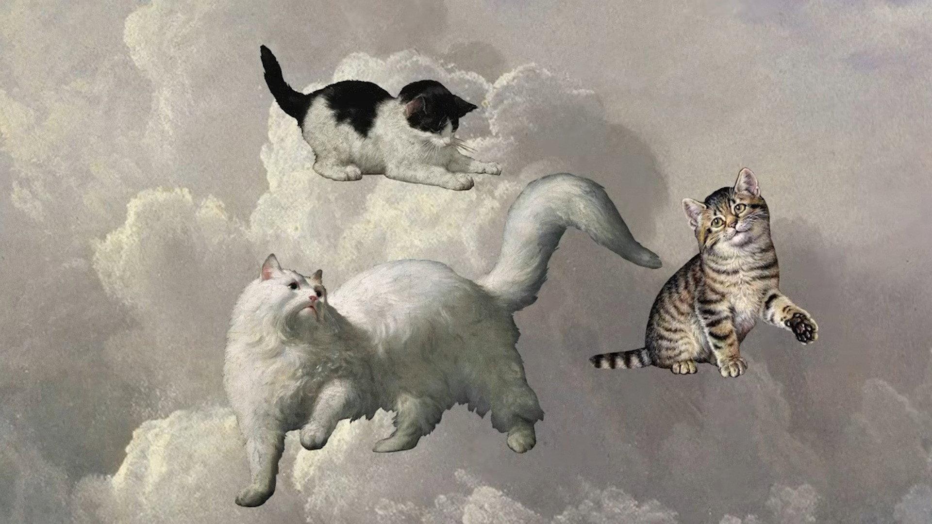 Cats 2 2023 movie scene