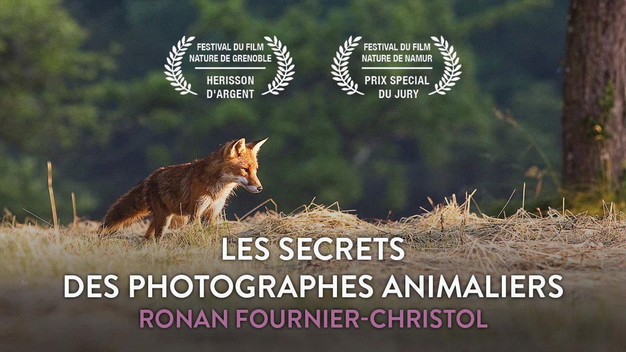 Les secrets des photographes animaliers 2007 movie scene