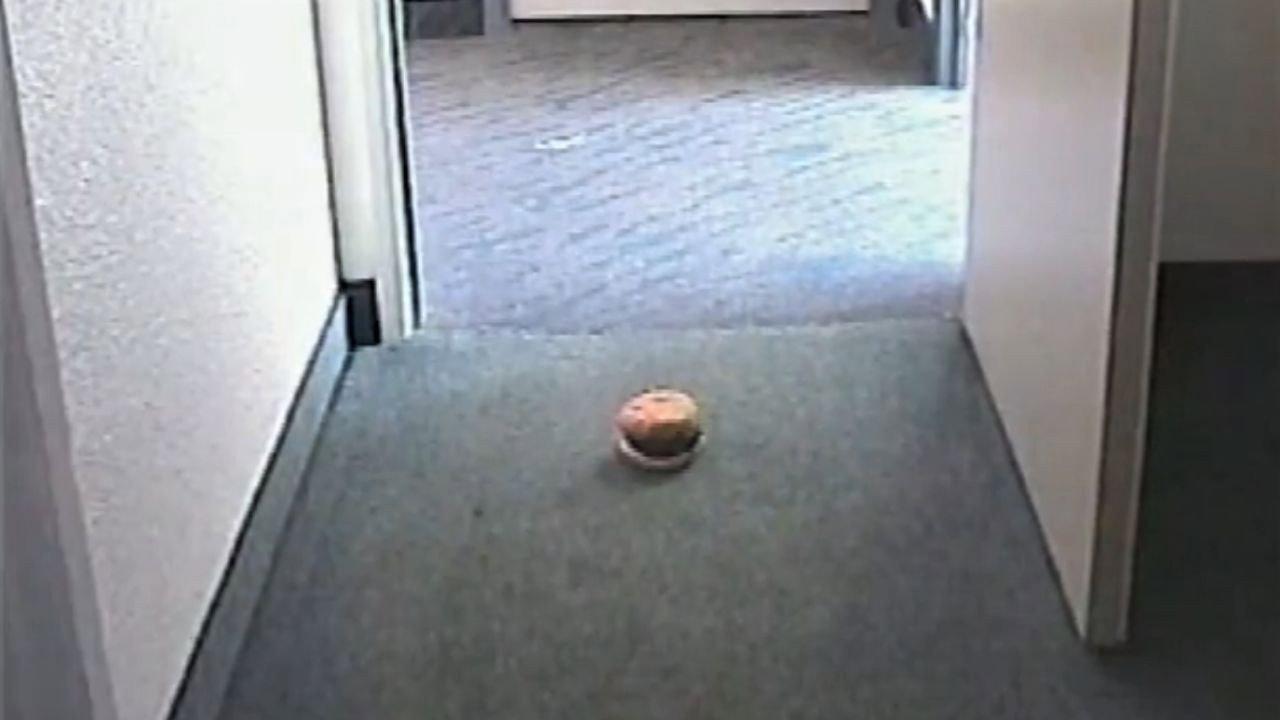 Hamburger Dad 2003 movie scene