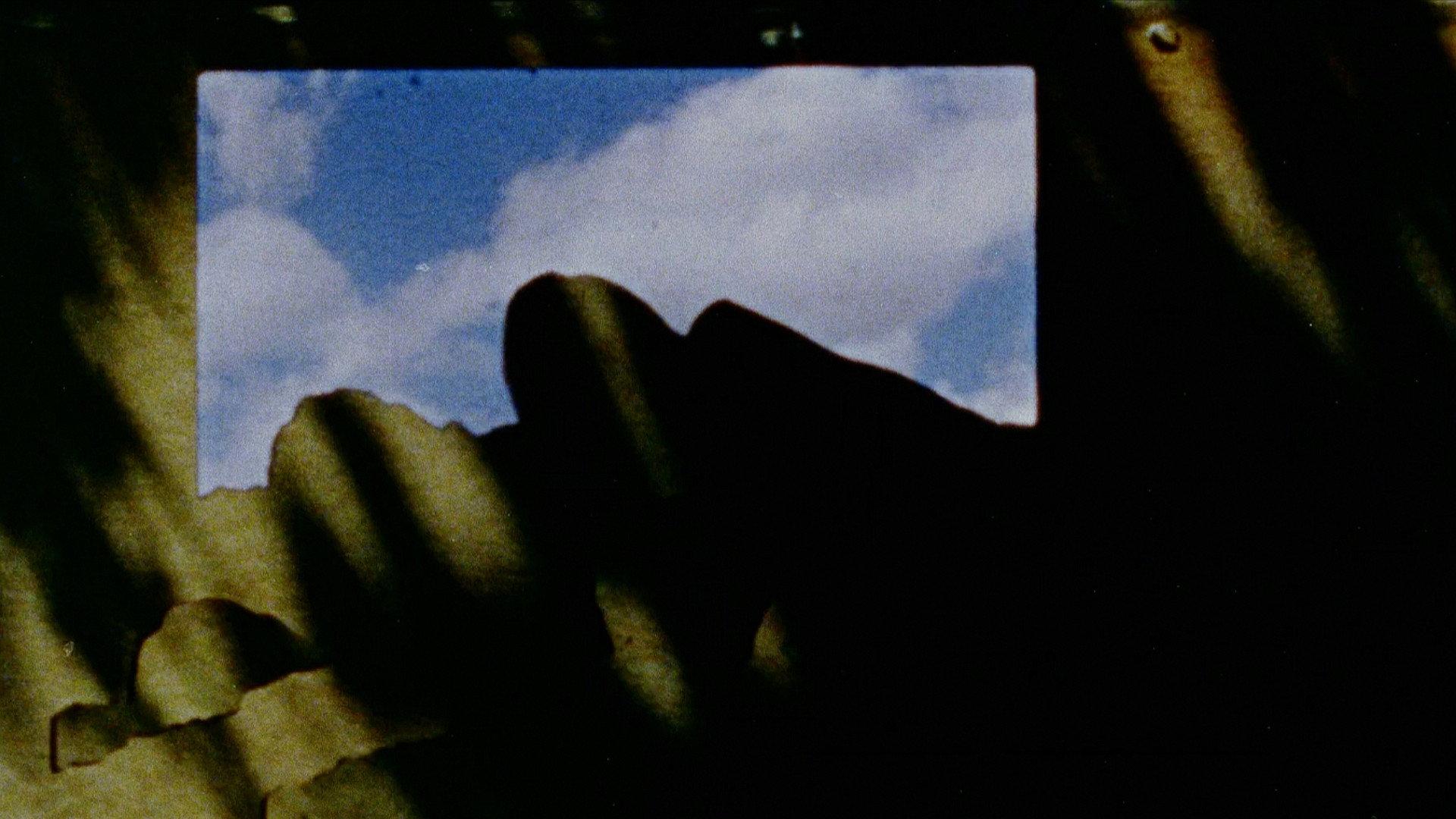 Foregrounds 1978 movie scene
