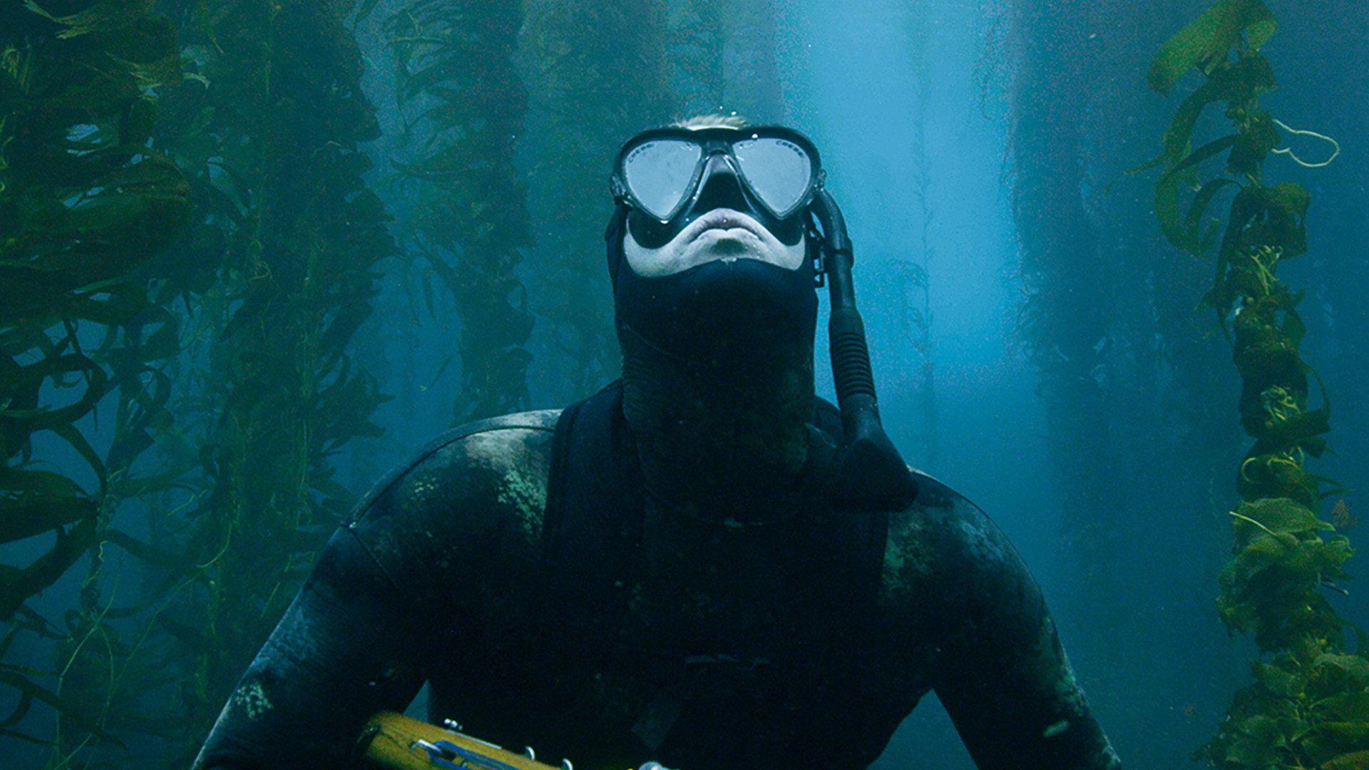 The Urchin Diver 2021 movie scene