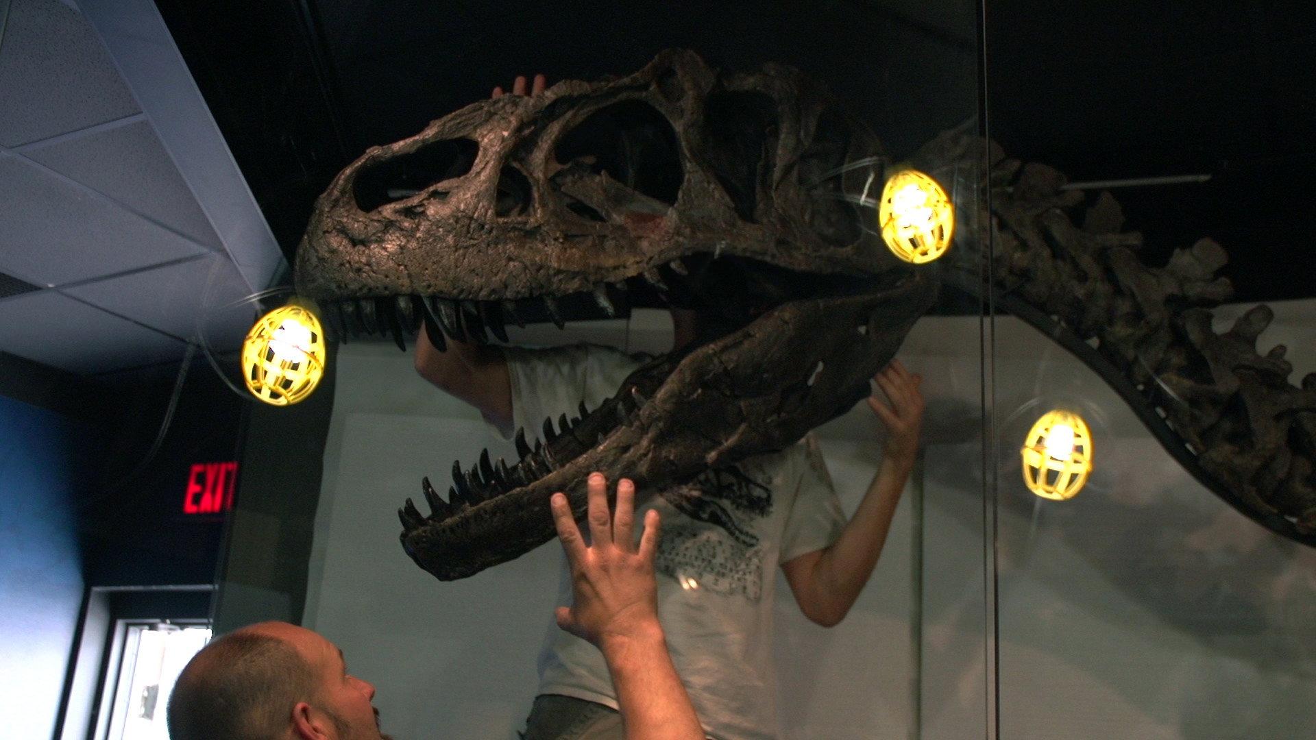 We Believe in Dinosaurs 2020 movie scene