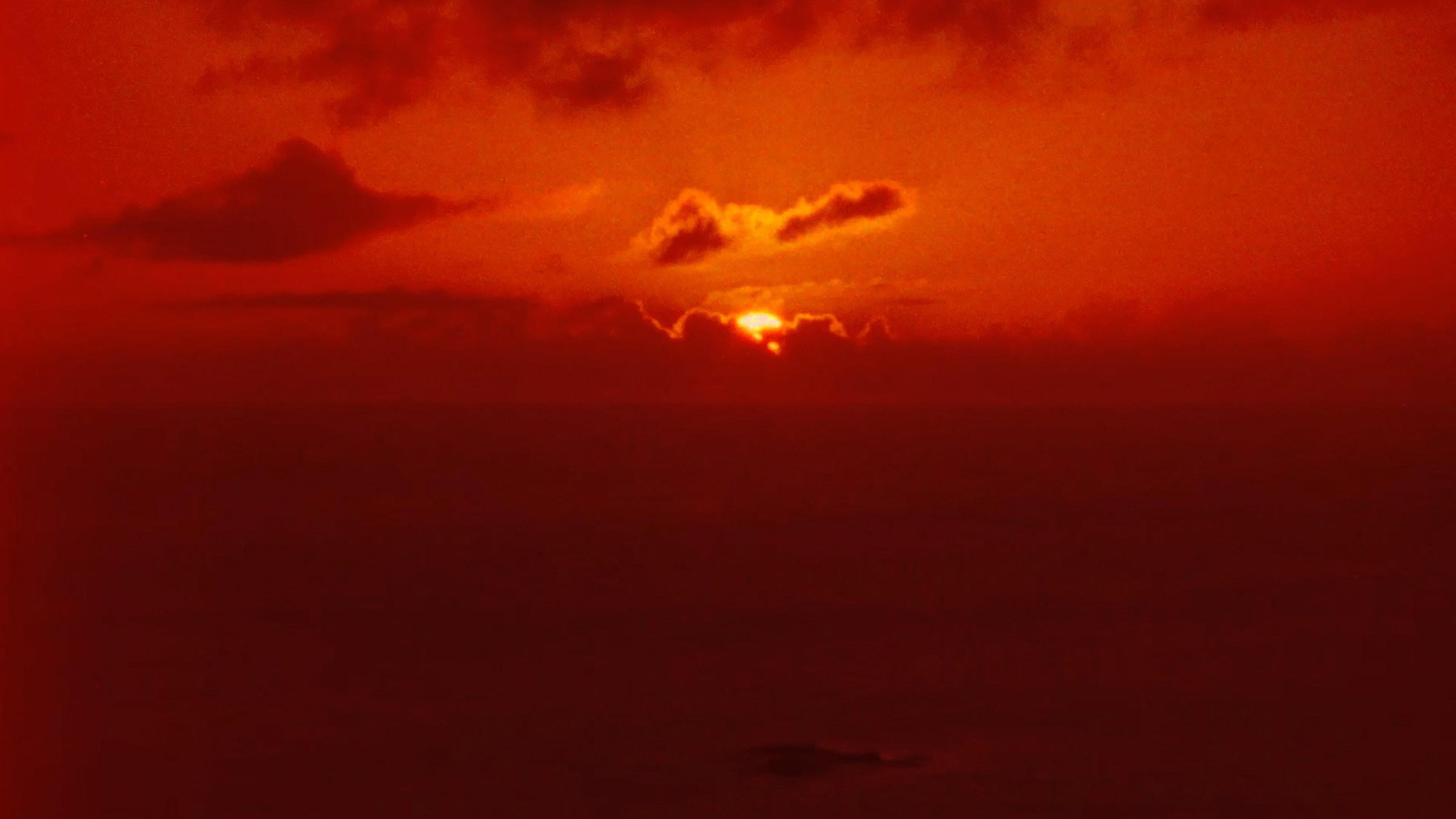 Fire Flower 2026 movie scene