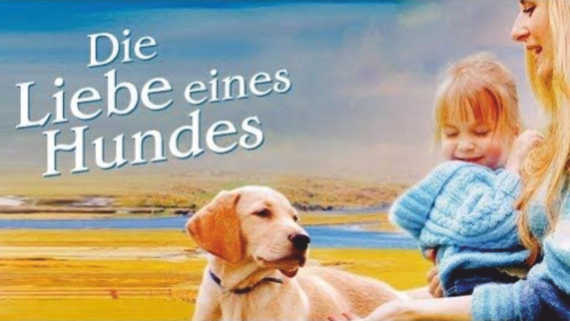 More Than Puppy Love 2000 movie scene
