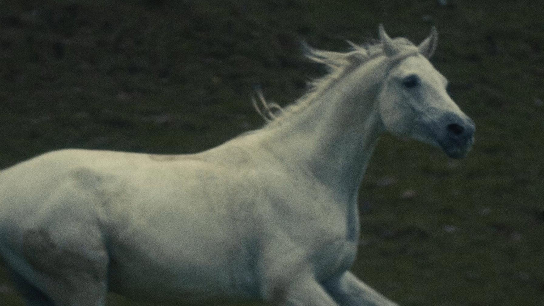 Yearlings 2026 movie scene