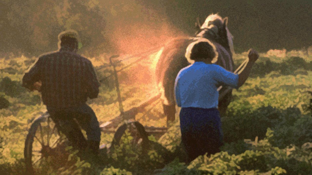 The Farmer's Time on Earth 2003 movie scene