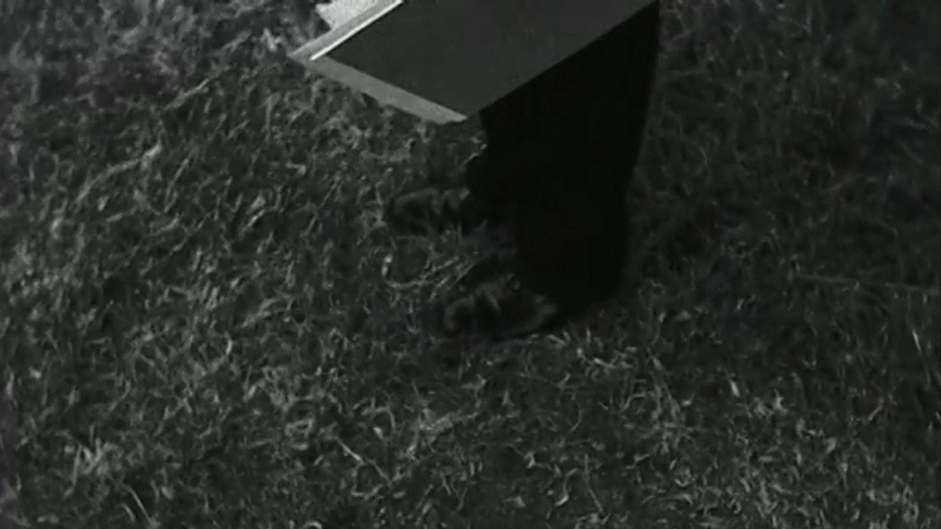 Lot 63, Grave C 2006 movie scene