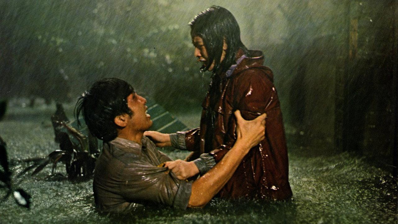 He Never Gives Up 1979 movie scene