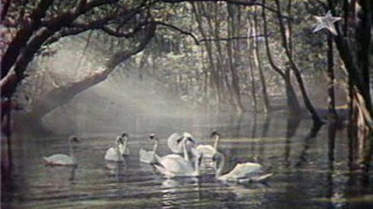 An Extraordinary Story Like a Fairy Tale 1966 movie scene