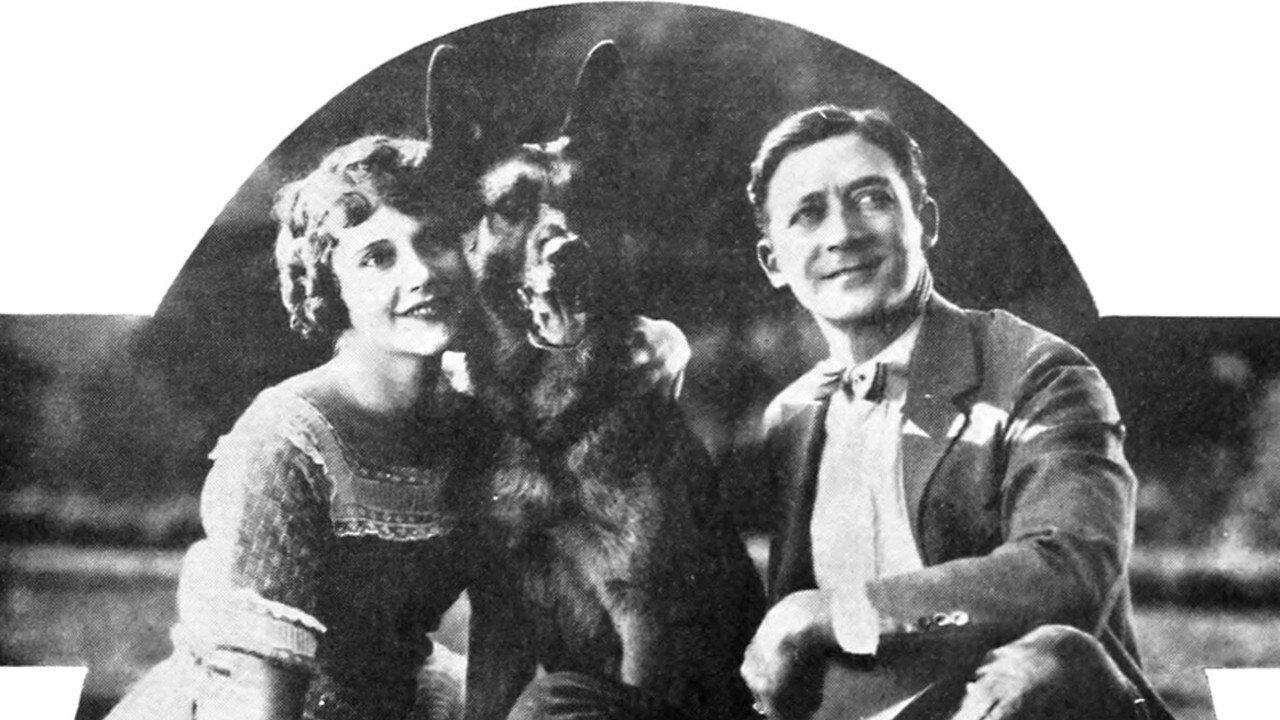 White Fang 1925 movie scene