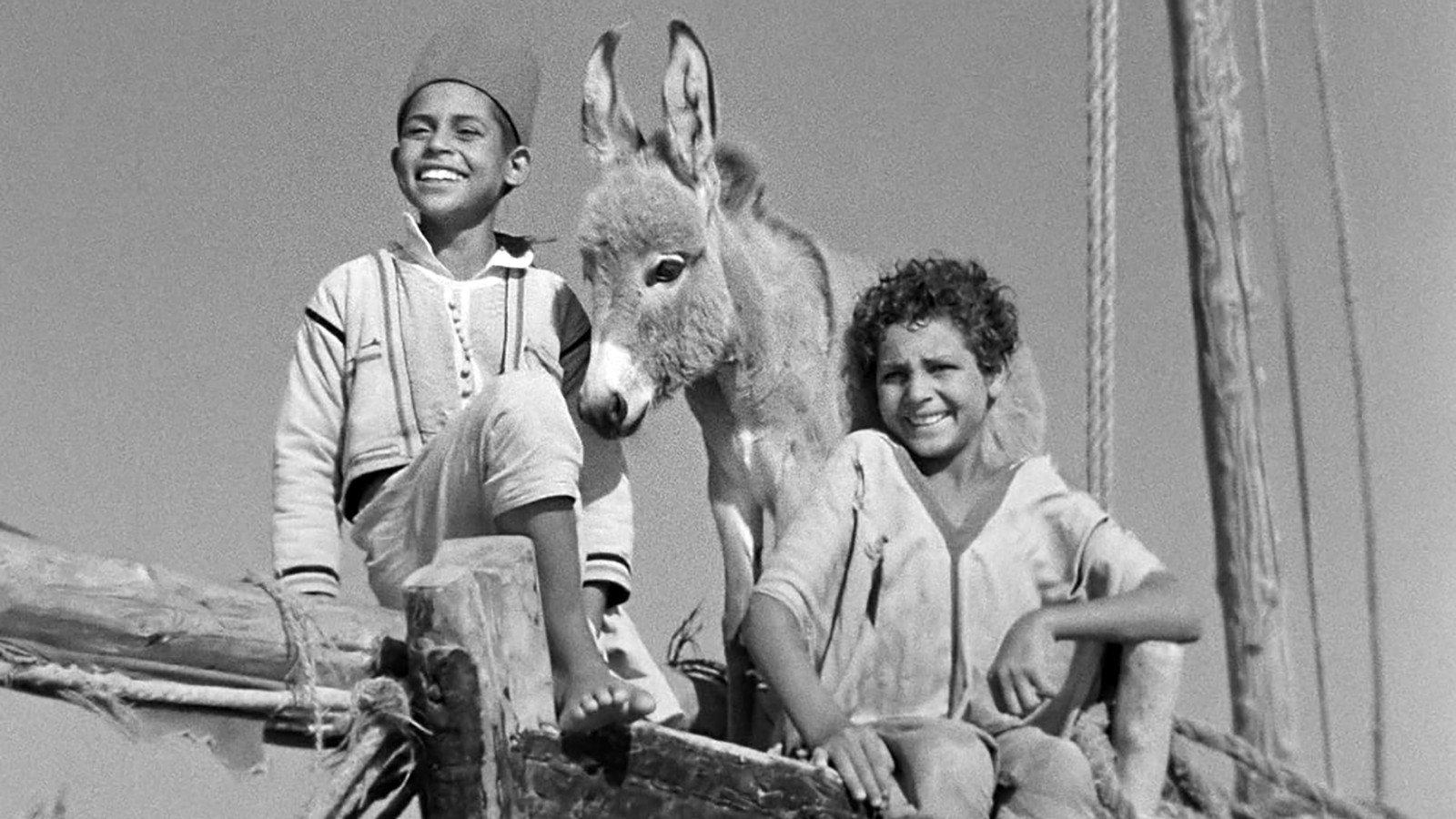 Bim, the Little Donkey 1951 movie scene