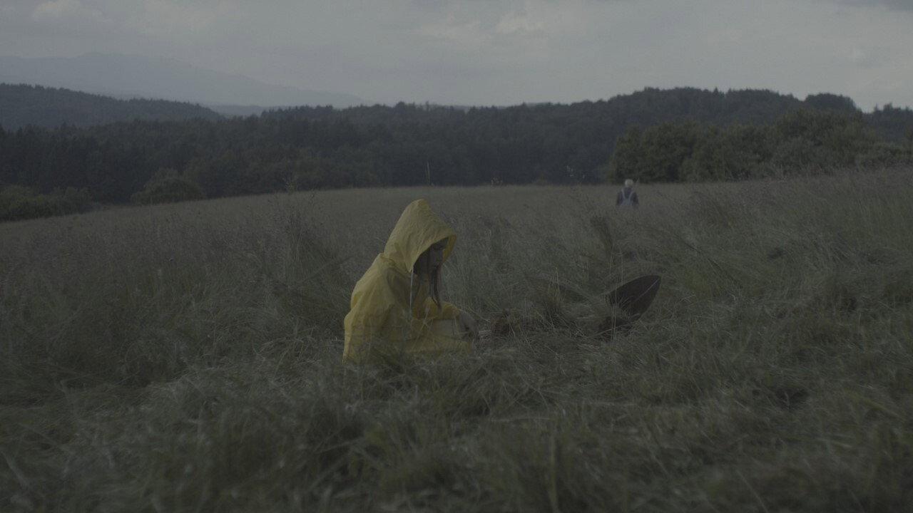 Soil Stories 2018 movie scene