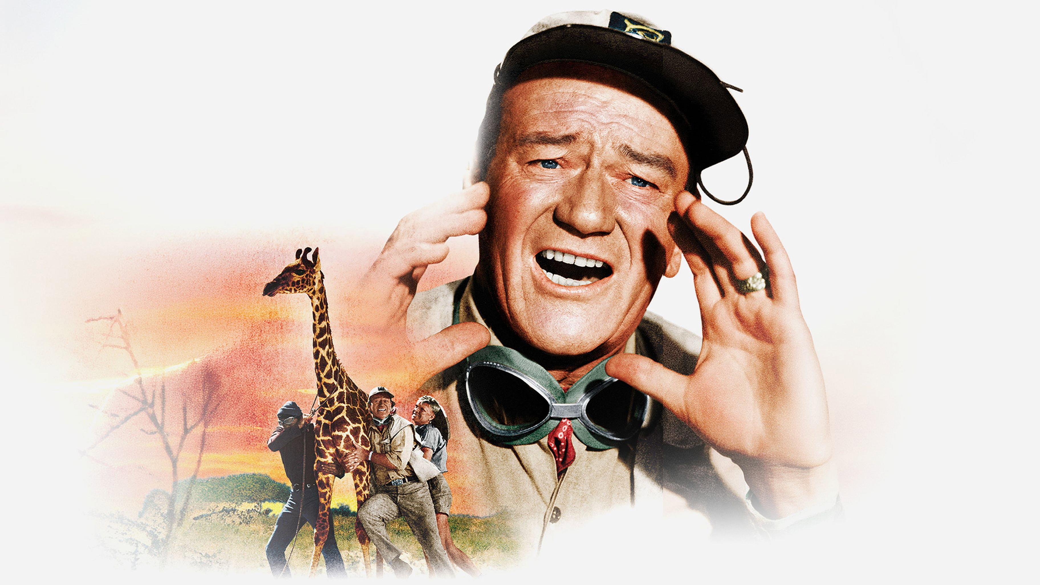 Hatari! 1962 movie scene