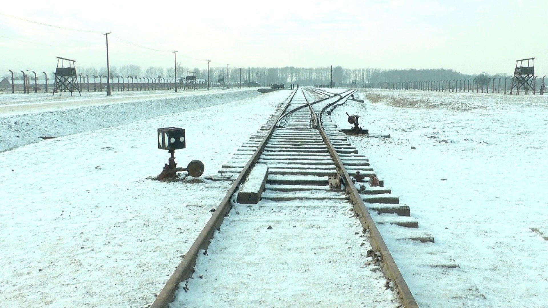19 876 Steps in Auschwitz / Birkenau 2017 movie scene