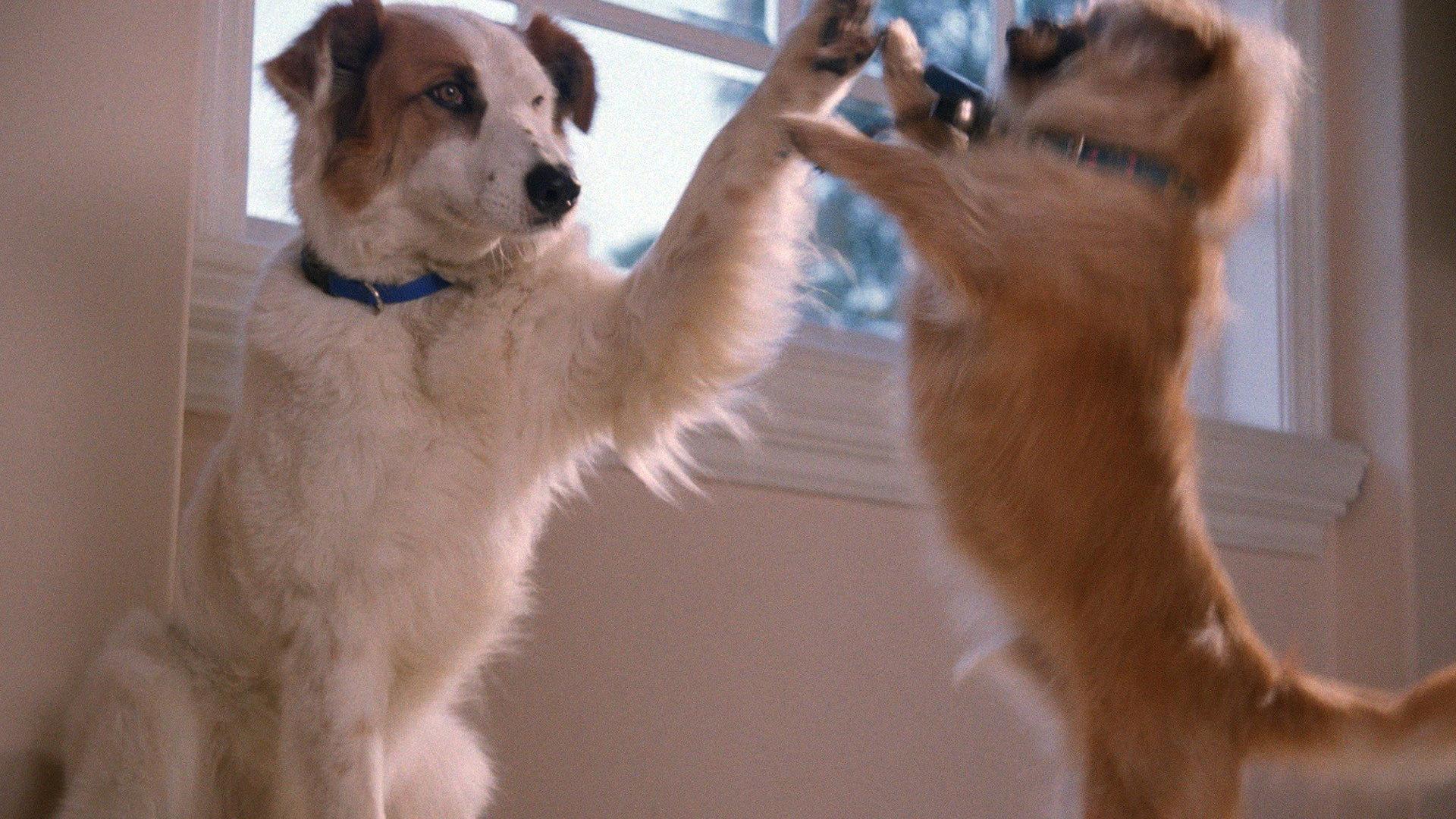Little Heroes 1999 movie scene